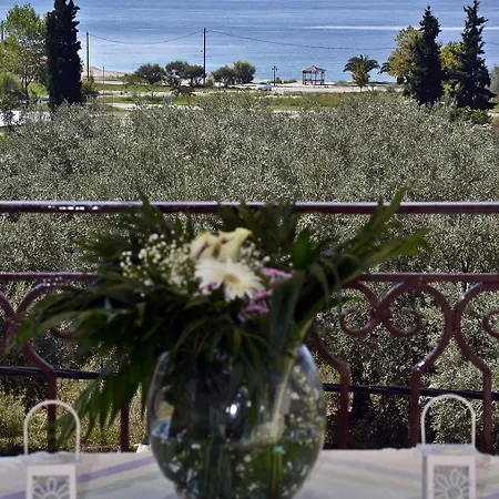 Appartement Nina